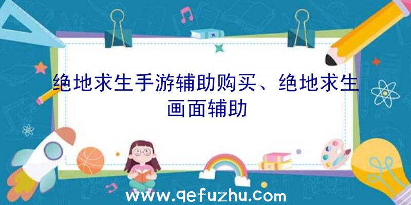 绝地求生手游辅助购买、绝地求生画面辅助