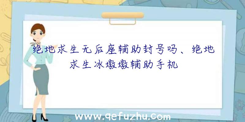 绝地求生无后座辅助封号吗、绝地求生冰墩墩辅助手机