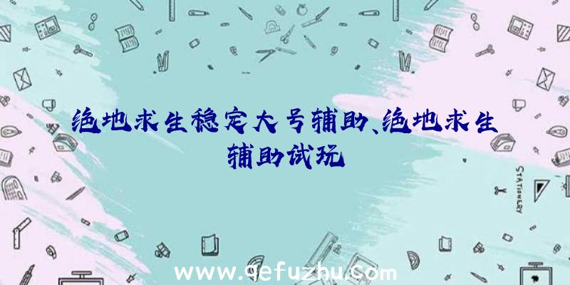 绝地求生稳定大号辅助、绝地求生辅助试玩