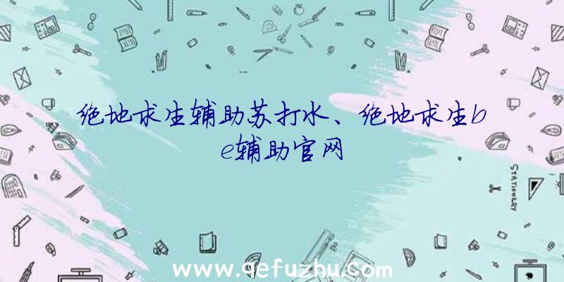 绝地求生辅助苏打水、绝地求生be辅助官网