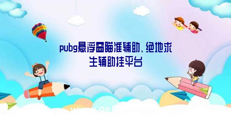 pubg悬浮窗瞄准辅助、绝地求生辅助挂平台