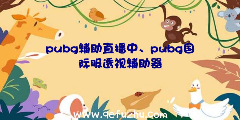 pubg辅助直播中、pubg国际服透视辅助器