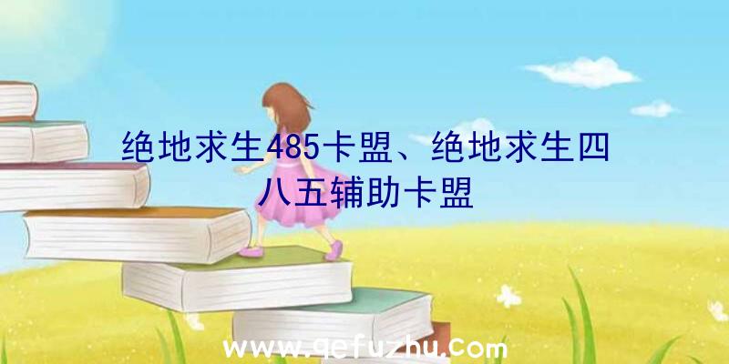 绝地求生485卡盟、绝地求生四八五辅助卡盟