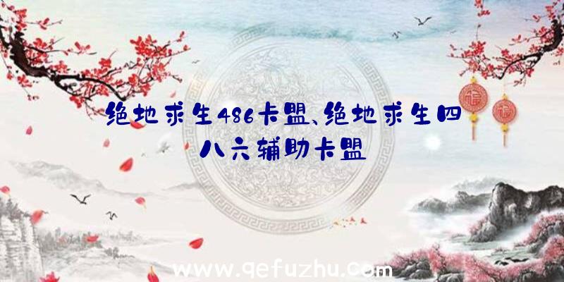 绝地求生486卡盟、绝地求生四八六辅助卡盟