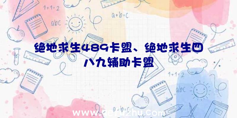 绝地求生489卡盟、绝地求生四八九辅助卡盟