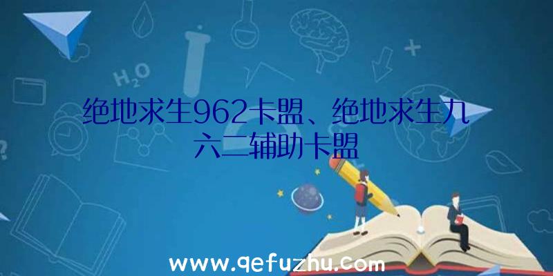 绝地求生962卡盟、绝地求生九六二辅助卡盟