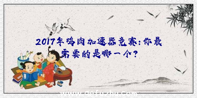 2017年鸡肉加速器竞赛:你最需要的是哪一个？