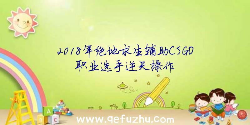 2018年绝地求生辅助CSGO职业选手逆天操作