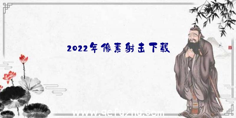 2022年像素射击下载