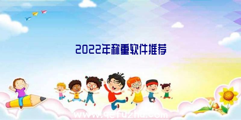 2022年称重软件推荐