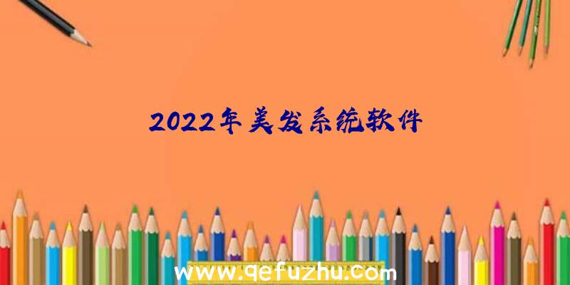 2022年美发系统软件