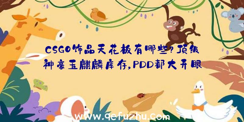 CSGO饰品天花板有哪些？顶级神豪玉麒麟库存，PDD都大开眼界