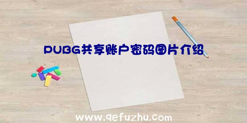 PUBG共享账户密码图片介绍