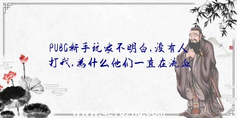 PUBG新手玩家不明白,没有人打我,为什么他们一直在流血