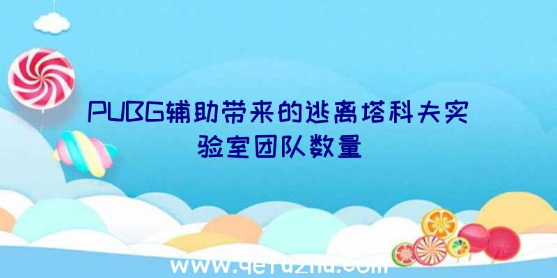 PUBG辅助带来的逃离塔科夫实验室团队数量