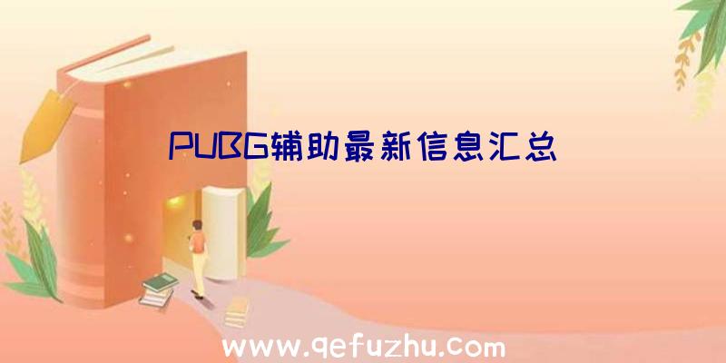 PUBG辅助最新信息汇总