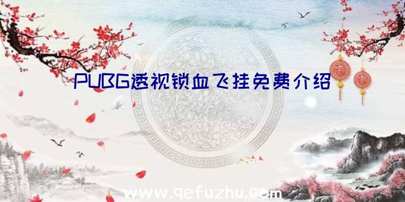 PUBG透视锁血飞挂免费介绍