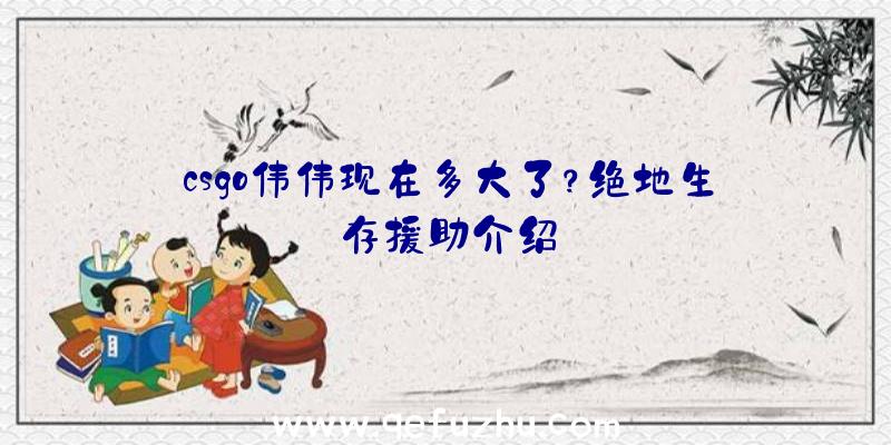 csgo伟伟现在多大了？绝地生存援助介绍