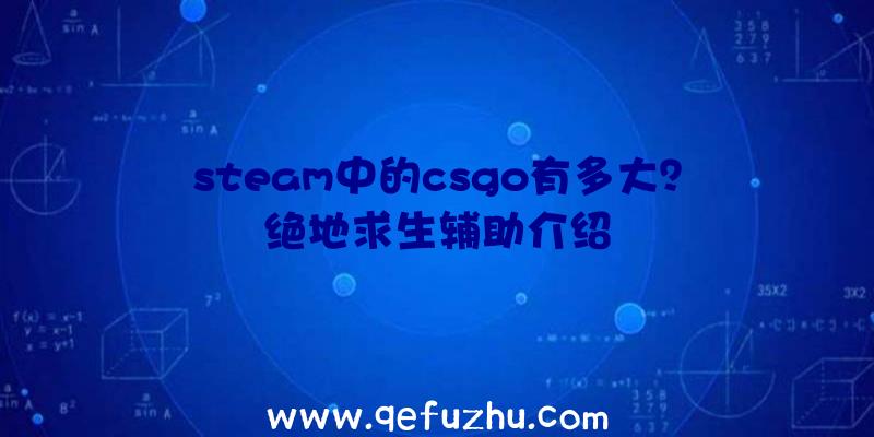 steam中的csgo有多大？绝地求生辅助介绍