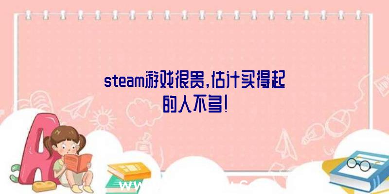 steam游戏很贵,估计买得起的人不多!