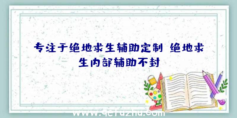 专注于绝地求生辅助定制、绝地求生内部辅助不封