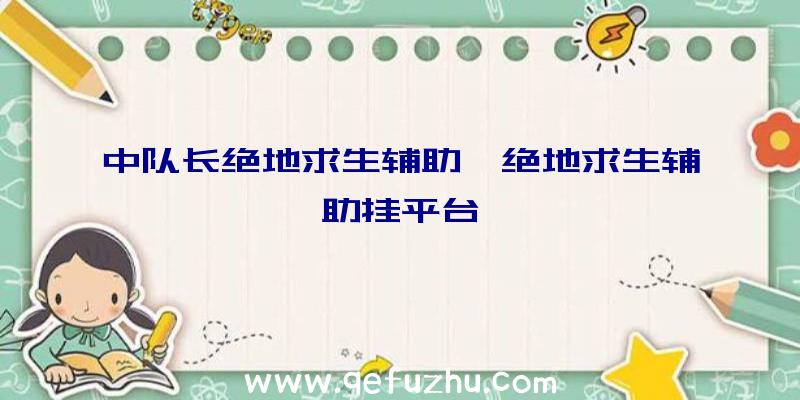 中队长绝地求生辅助、绝地求生辅助挂平台