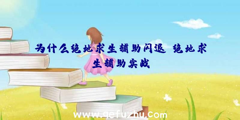 为什么绝地求生辅助闪退、绝地求生辅助实战