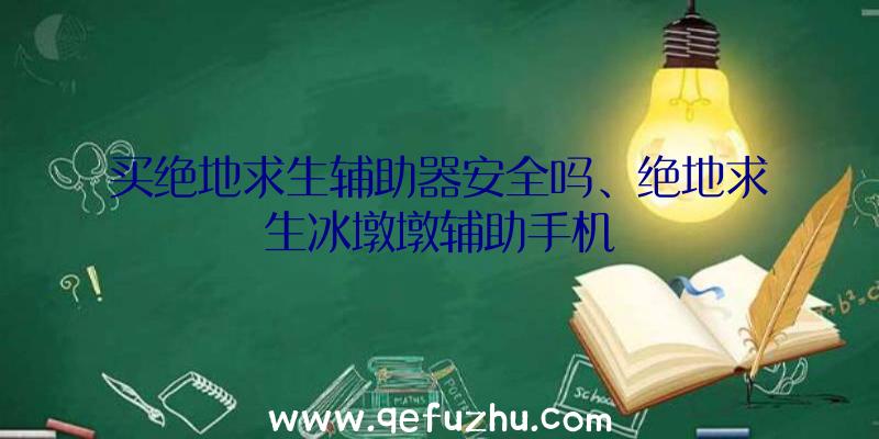 买绝地求生辅助器安全吗、绝地求生冰墩墩辅助手机