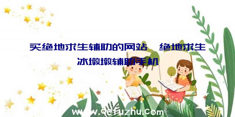 买绝地求生辅助的网站、绝地求生冰墩墩辅助手机