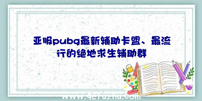 亚服pubg最新辅助卡盟、最流行的绝地求生辅助群