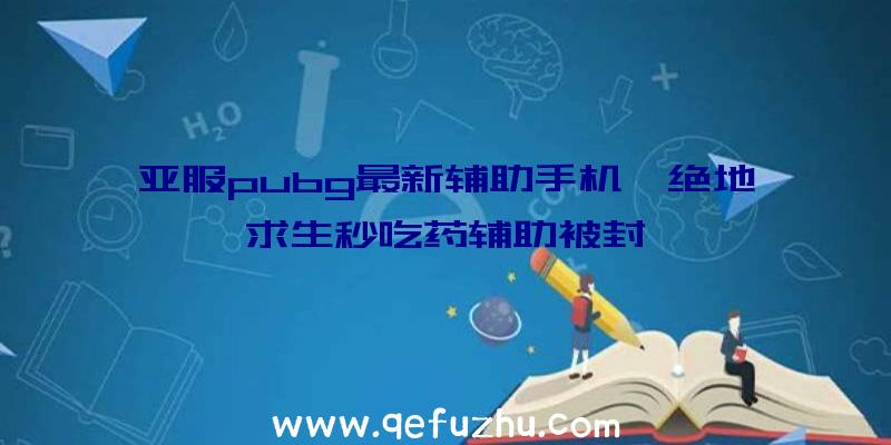 亚服pubg最新辅助手机、绝地求生秒吃药辅助被封