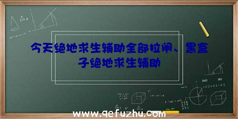 今天绝地求生辅助全部拉闸、黑盒子绝地求生辅助