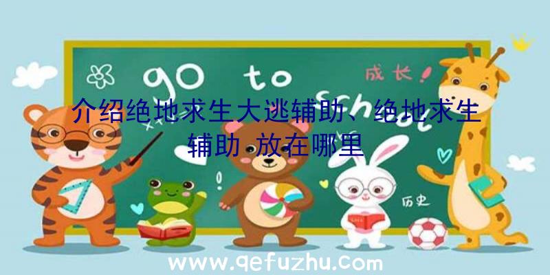 介绍绝地求生大逃辅助、绝地求生辅助