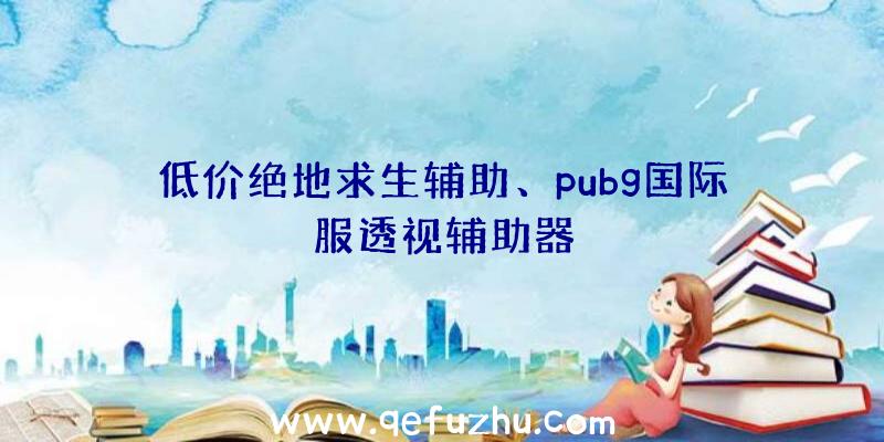 低价绝地求生辅助、pubg国际服透视辅助器