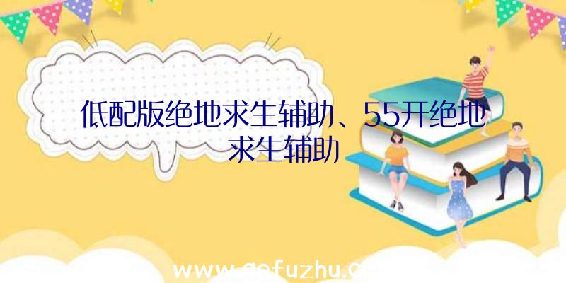 低配版绝地求生辅助、55开绝地求生辅助