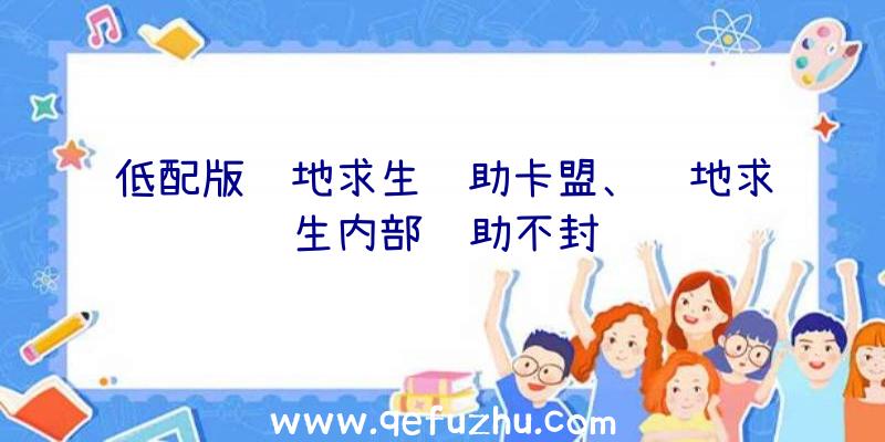 低配版绝地求生辅助卡盟、绝地求生内部辅助不封