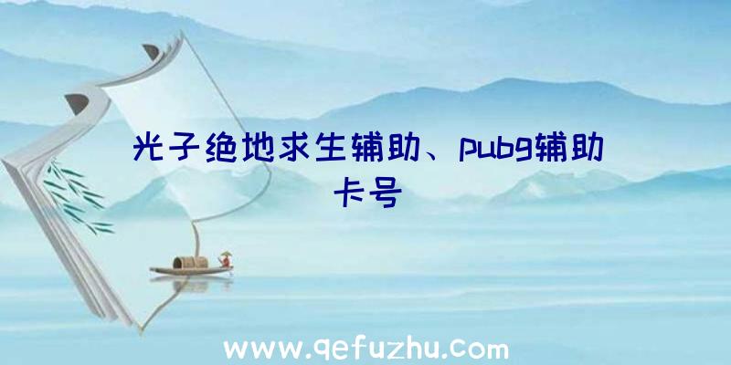 光子绝地求生辅助、pubg辅助卡号