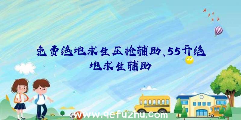 免费绝地求生压枪辅助、55开绝地求生辅助