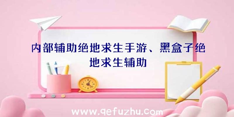 内部辅助绝地求生手游、黑盒子绝地求生辅助