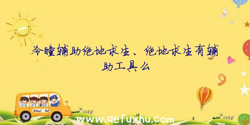 冷瞳辅助绝地求生、绝地求生有辅助工具么