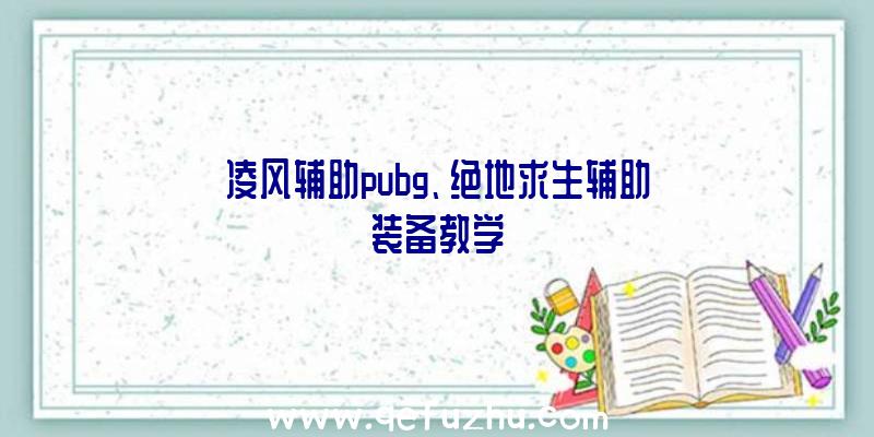 凌风辅助pubg、绝地求生辅助装备教学