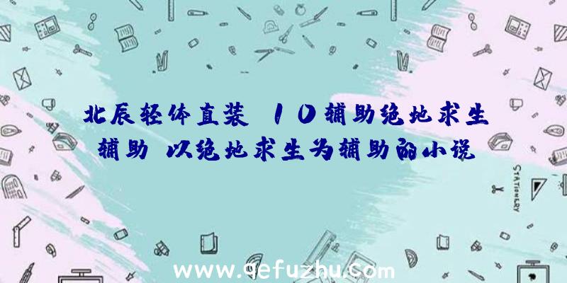 北辰轻体直装V10辅助绝地求生辅助、以绝地求生为辅助的小说