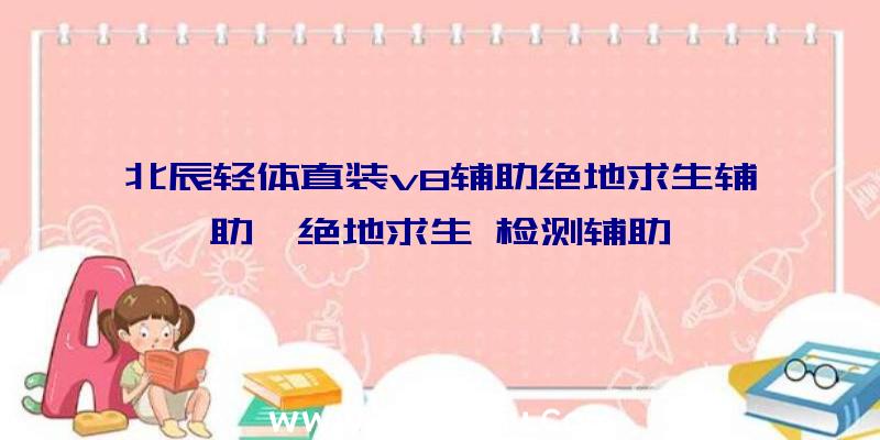 北辰轻体直装v8辅助绝地求生辅助、绝地求生