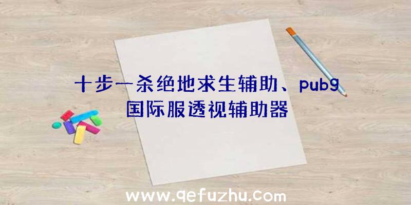 十步一杀绝地求生辅助、pubg国际服透视辅助器