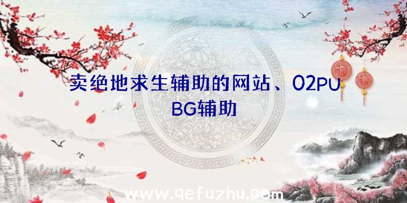 卖绝地求生辅助的网站、02PUBG辅助