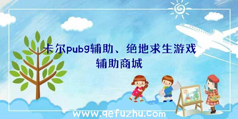 卡尔pubg辅助、绝地求生游戏辅助商城