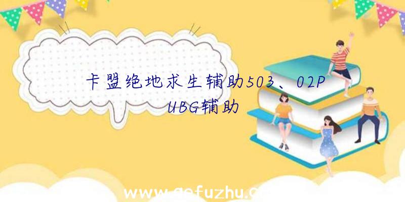 卡盟绝地求生辅助503、02PUBG辅助