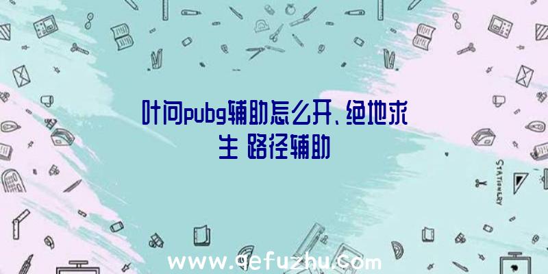 叶问pubg辅助怎么开、绝地求生