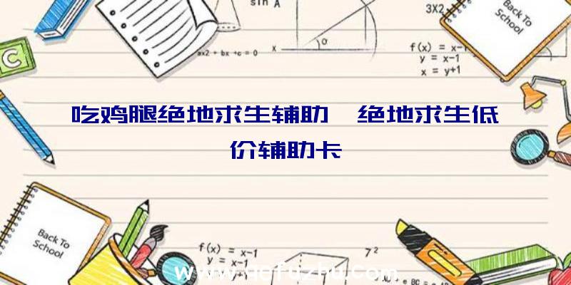 吃鸡腿绝地求生辅助、绝地求生低价辅助卡