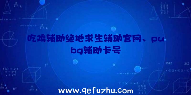 吃鸡辅助绝地求生辅助官网、pubg辅助卡号